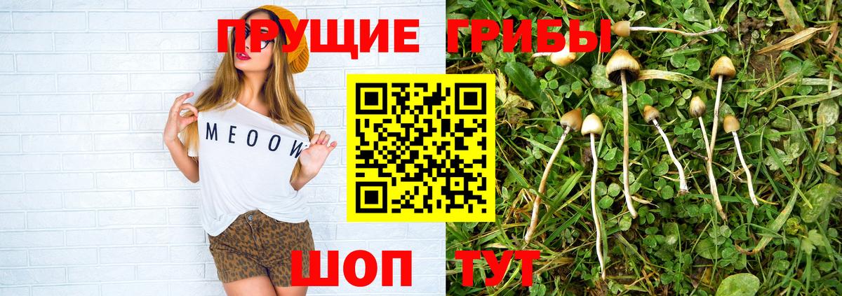 даркнет сайт  Псилоцибиновые грибы Psilocybe  Вход с VPN  Хабаровск 